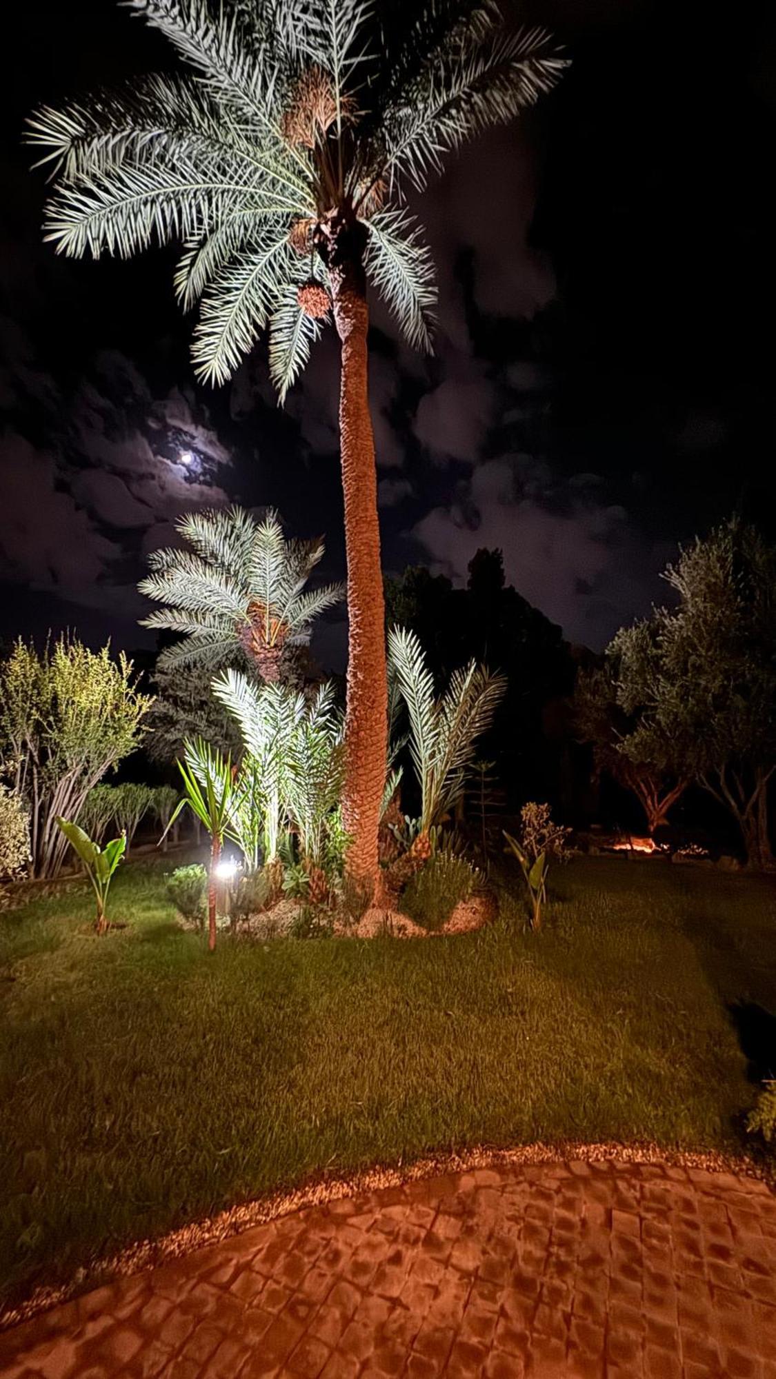 Tres Joli Appart A La Palmeraie Coup De Coeur Marrakesh Exterior photo